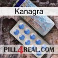 Kanagra 39